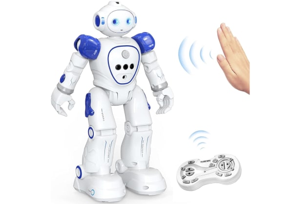 知育玩具タイプのロボット
