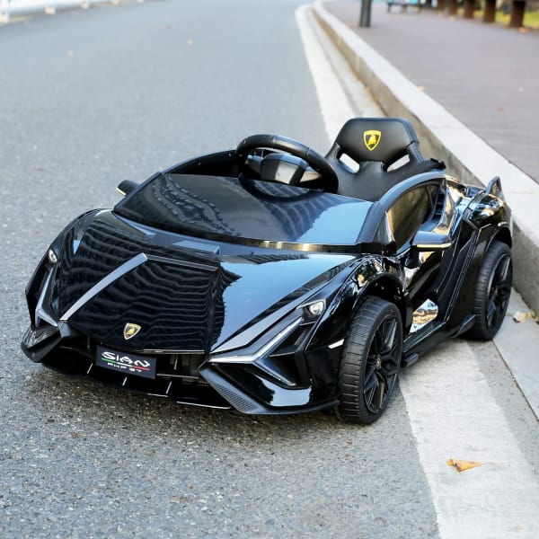 公道にある乗用ラジコンカー