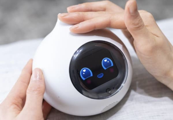 ロミィをなでる様子