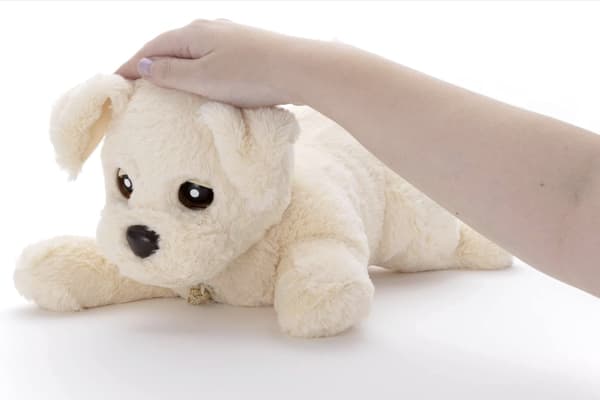 犬型ロボットをなでる様子