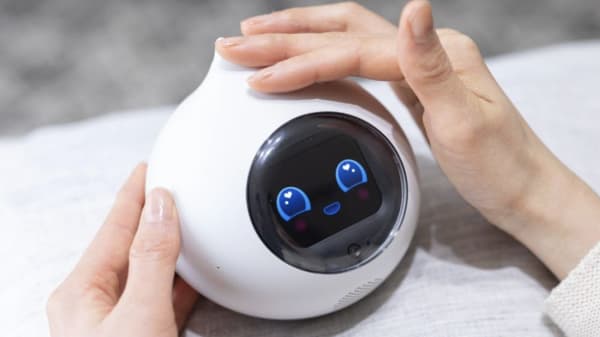 AIロボットをなでる様子