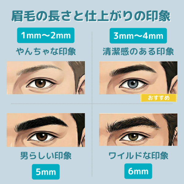 眉毛の長さごとの仕上がり図
