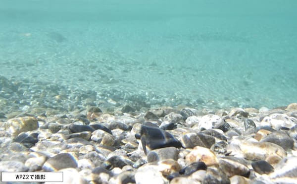 カメラで撮影した海の中