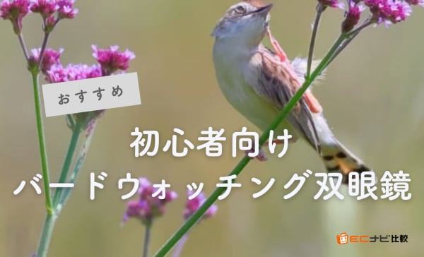 初心者向けバードウォッチング双眼鏡のおすすめ人気ランキング8選！倍率は8倍がベスト