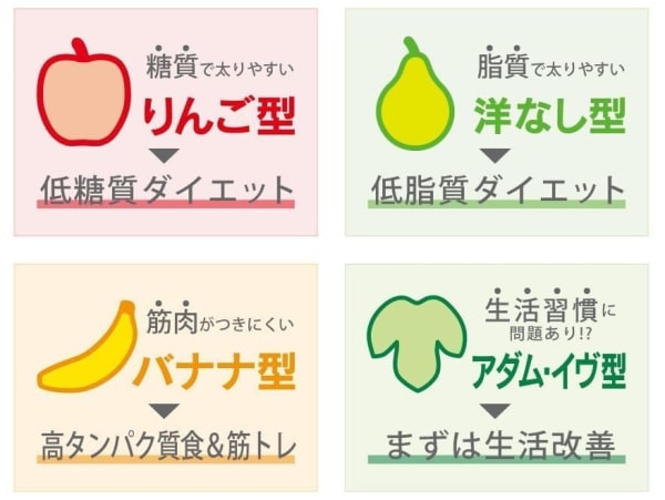 肥満タイプの解説