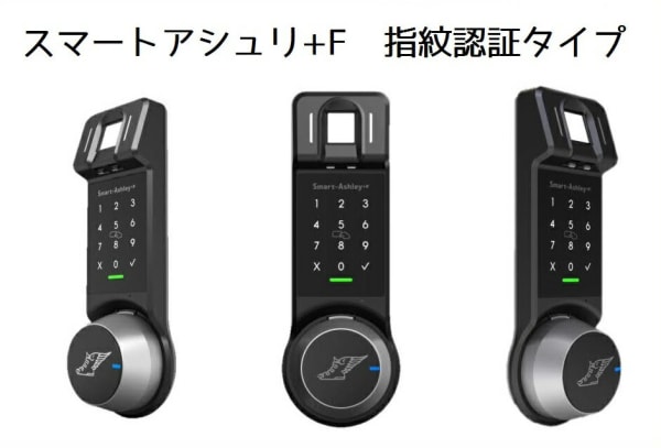 安田株式会社 Smart-Ashley+F